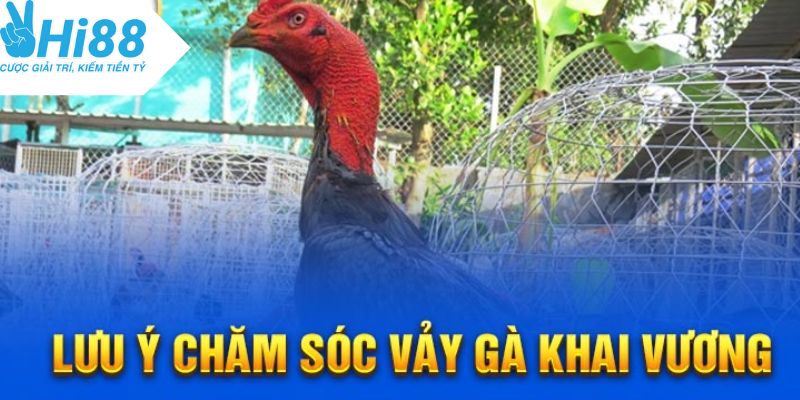 Chế độ chăm sóc chiến kê vảy khai vương