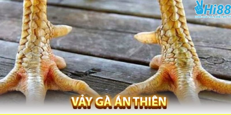 Cách nhận biết vảy án thiên chính xác